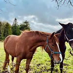 Prázdninový dům Ferme De Beaumont Norman Authentic