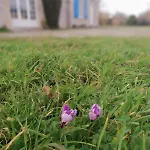 Prázdninový dům Ferme De Beaumont Norman Authentic *