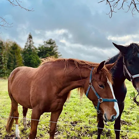 Prázdninový dům Ferme De Beaumont Norman Authentic