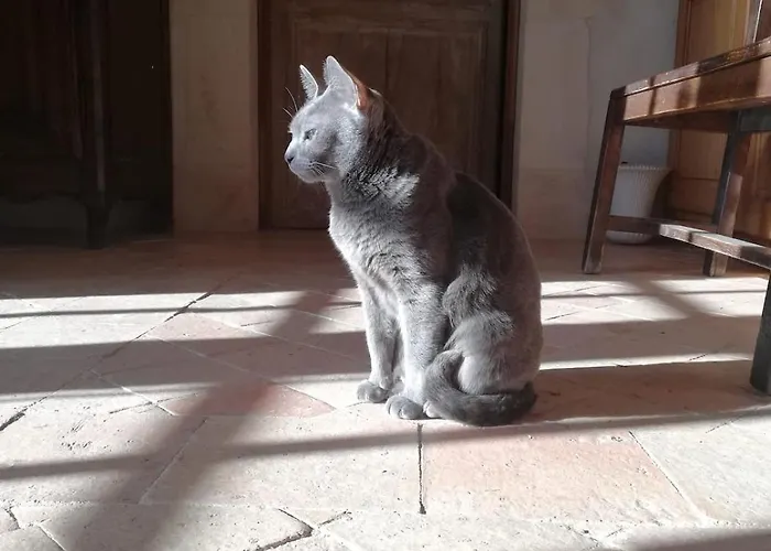 Ferme De Beaumont Norman Authentic * Carentan-les-Marais