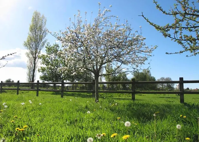 Ferme De Beaumont Norman Authentic Nyaraló