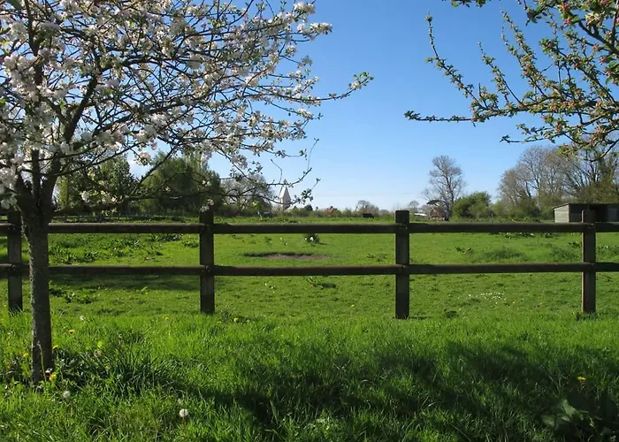 Ferme De Beaumont Norman Authentic