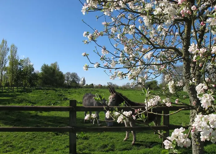 Nyaraló Ferme De Beaumont Norman Authentic *