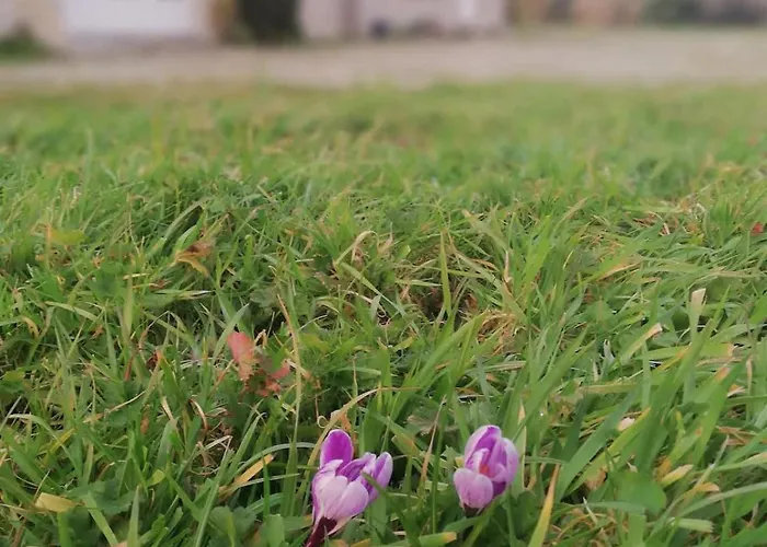 Nyaraló Ferme De Beaumont Norman Authentic *